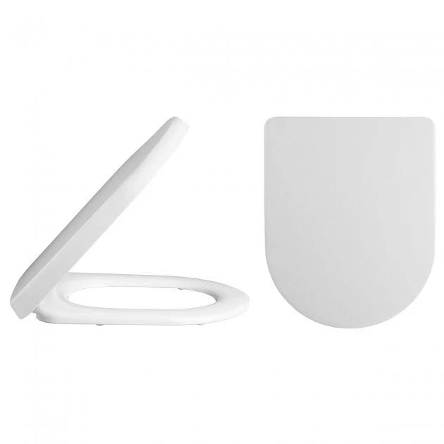 Evo Back to Wall Toilet & Soft Close Seat - Image 2