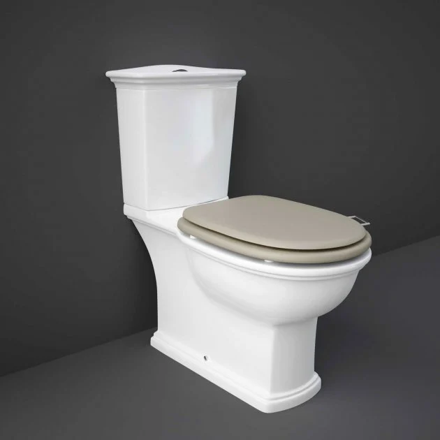 RAK Washington Traditional Close Coupled Toilet with Horizontal Outlet - Image 4