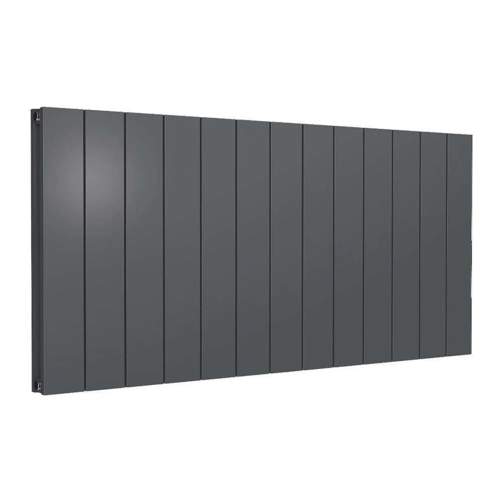 Reina Casina Horizontal Aluminium Radiator - Double / 600 x 1230mm - Anthracite